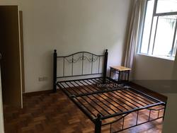 Novena Lodge (D11), Condominium #133708752